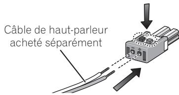 PIONEER LX03 - Utilisation de vos propres câbles de haut-parleurs - 1