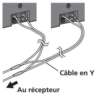 PIONEER LX03BD - AVERTISSEMENT - 4
