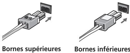 PIONEER LX03BD - Raccordez les enceintes - 3
