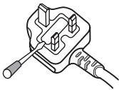 PIONEER PD-D9-J - IMPORTANT: THE MOULDED PLUG - 1