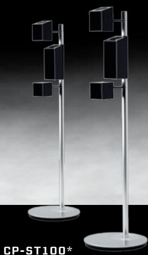 PIONEER S-81C-QL - POUR EN SAVOIR PLUS : - 11