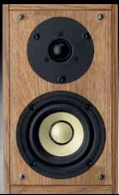 PIONEER S-81C-QL - Des coffrets en chêne millésimé. - 1