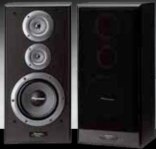 PIONEER S-81C-QL - POUR EN SAVOIR PLUS : - 9