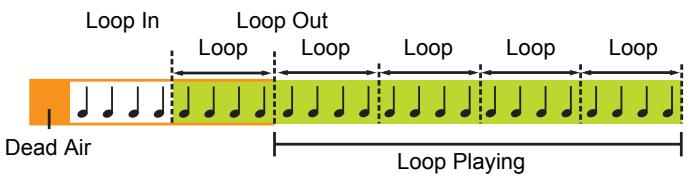PIONEER SVJ-DL01 - 3-3-1 Setting up Loops (Play) - 1