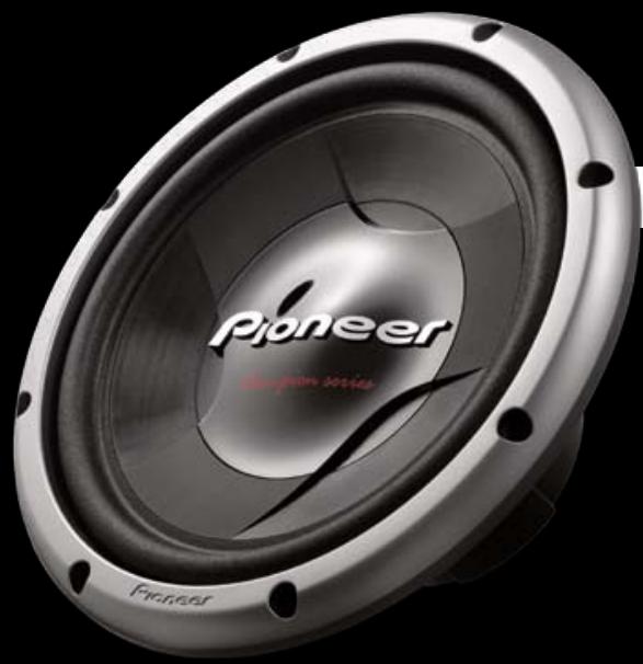 PIONEER TS-130CI - CHAMPION SERIES FREE-AIR SUBS - 1