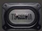 PIONEER TS-130CI - TS-WX20LPA - 1