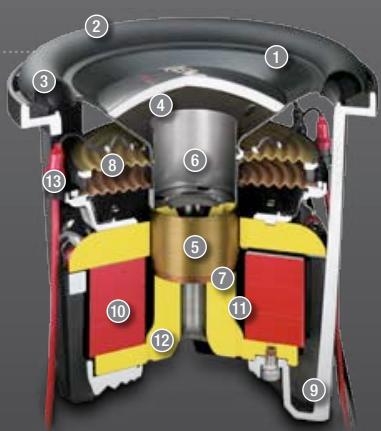 PIONEER TS-876 - TS-W5102SPL CUT VIEW - 1