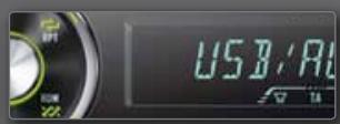 PIONEER TS-876 - CUSTOMISABLE DISPLAY AND BUTTON COLOURS - 2