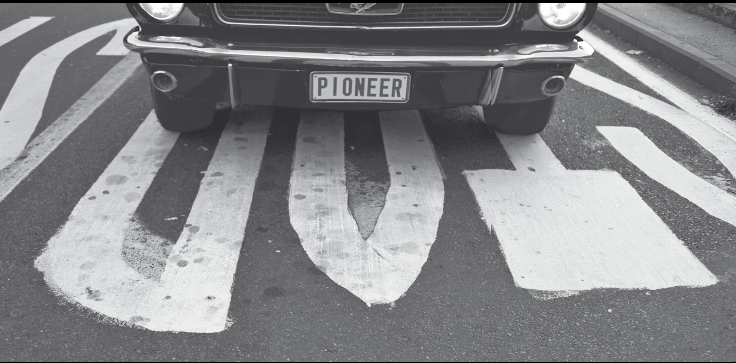 PIONEER TS-876 - No limits. - 2