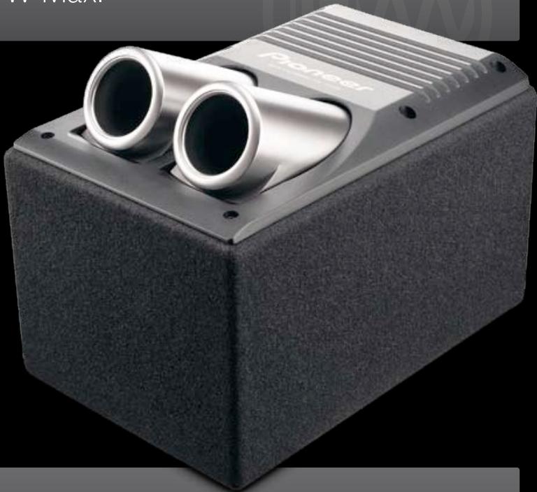 PIONEER TS-876 - W Max. - 5