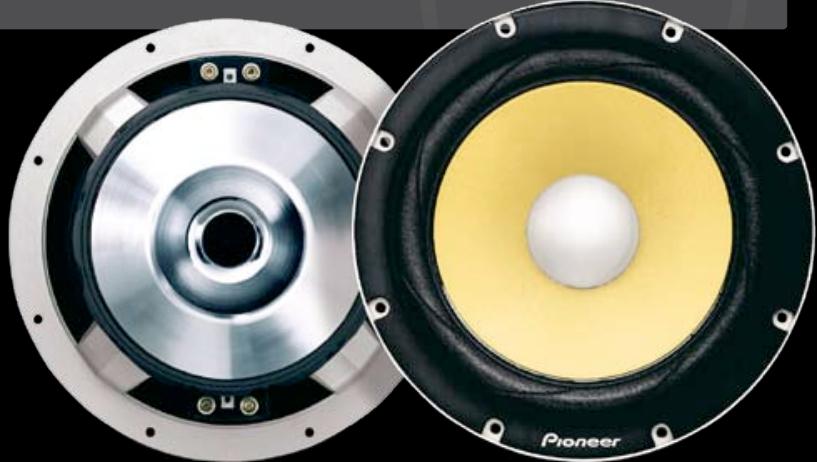 PIONEER TS-876 - PRS High-class Component Subwoofer - 2