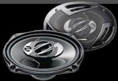 PIONEER TS-876 - W Max. - 4