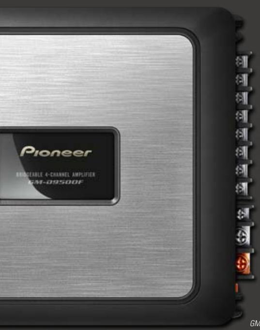 PIONEER TS-A6902I - AUDIOPHILE COMPONENTS - 1