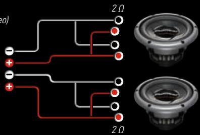 PIONEER TS-CX7 - COMPLETE CONNECTION FLEXIBILITY - 8
