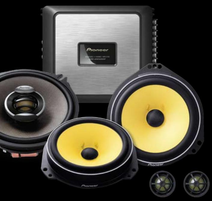 PIONEER TS-E1002I - STREET TUNING - 2
