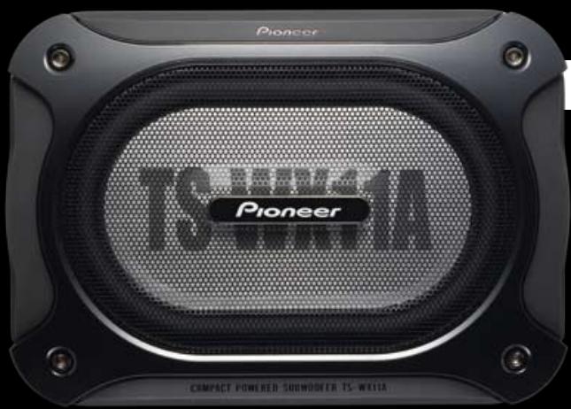 PIONEER TS-E1002I - COMPACT AND READY TO GO - 3