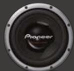 PIONEER TS-E1002I - TS-W258D2 - 1