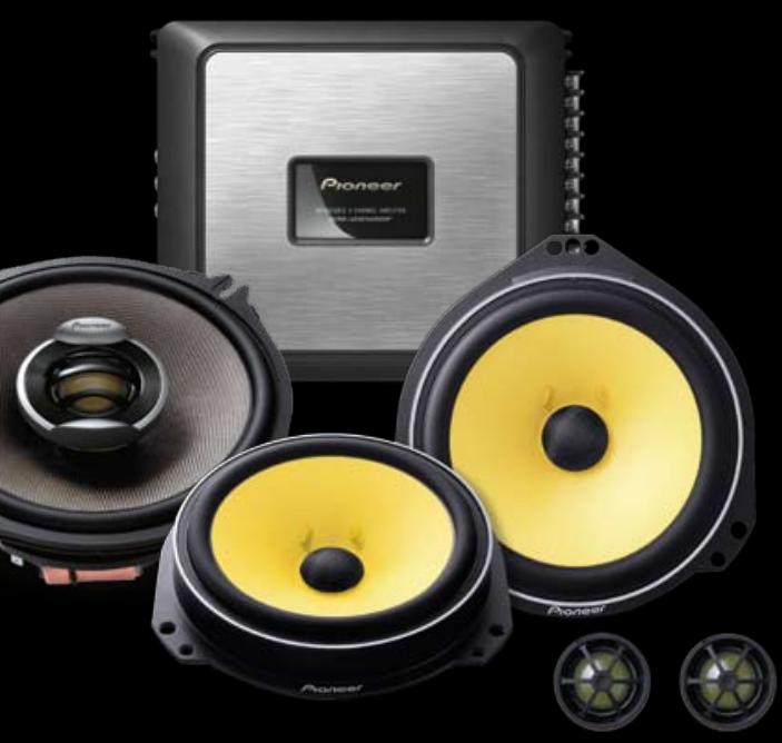 PIONEER TS-E6902I - STREET TUNING - 2