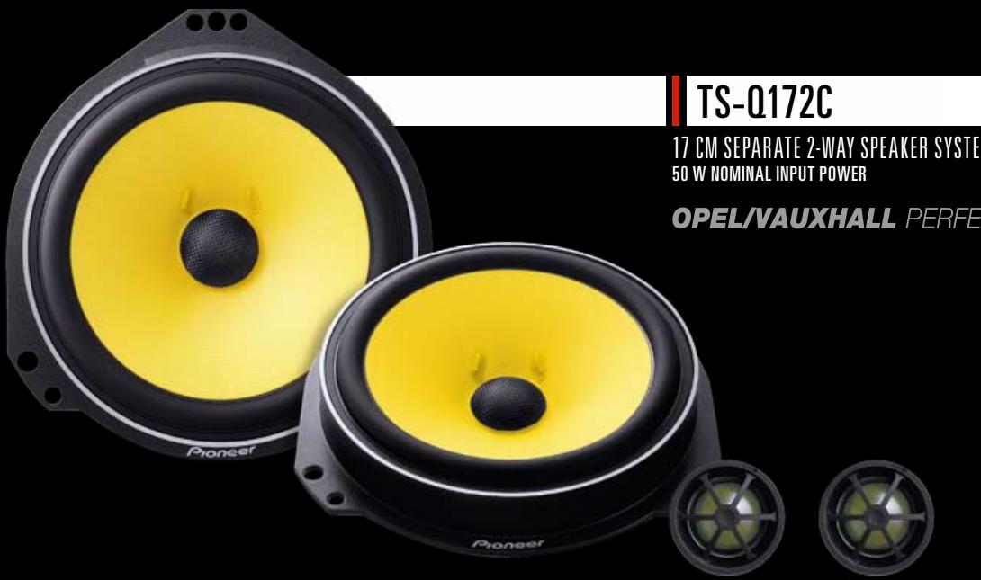 PIONEER TS-G1011I - Q-LEVEL SPEAKERS - 1