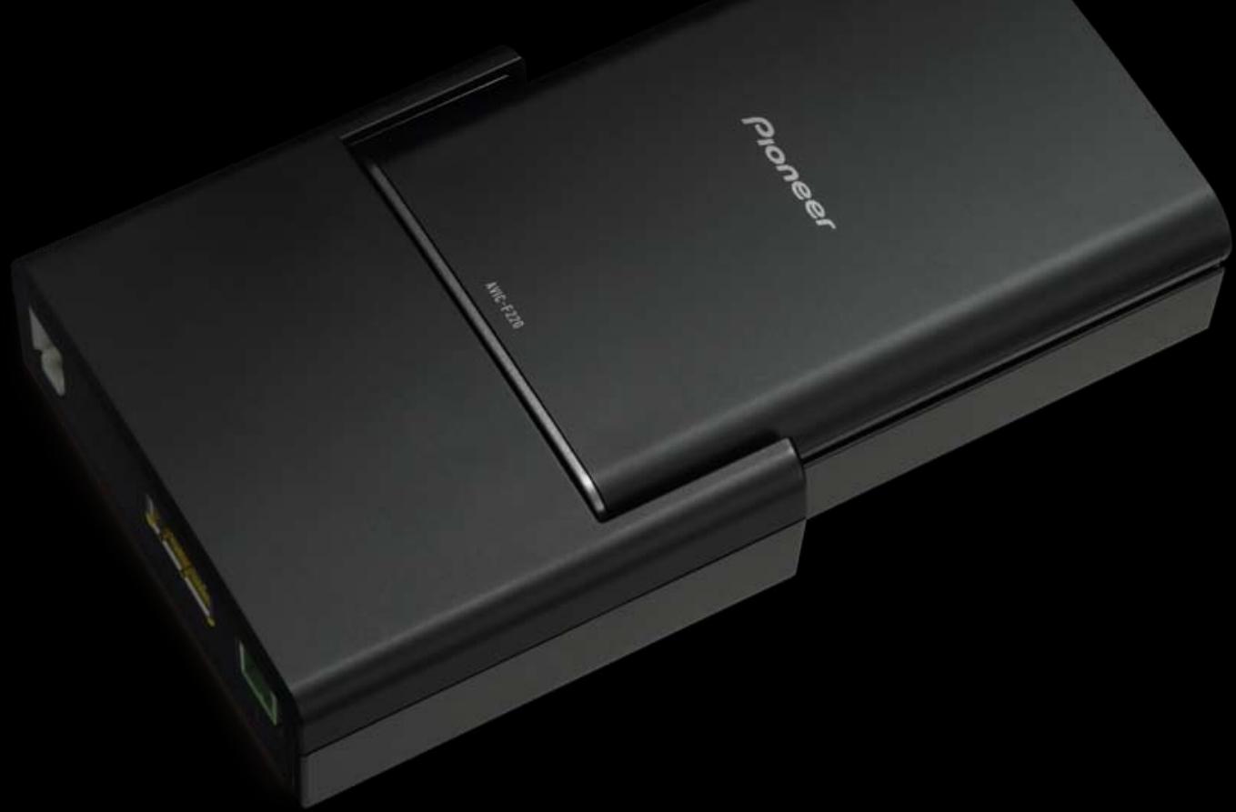 PIONEER TS-G1011I - navgate - 1