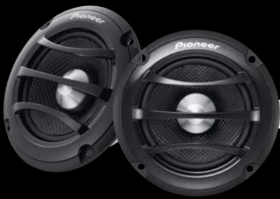 PIONEER TS-G1011I - AN EXCLUSIVE PERFORMANCE - 1