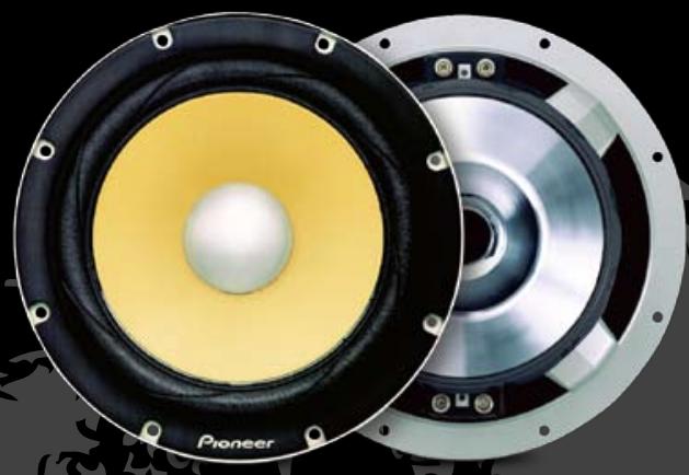 PIONEER TS-H467 - A POWERFUL MATCH - 1
