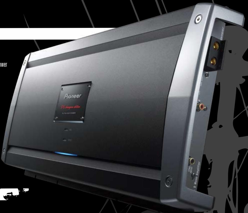 PIONEER TS-H467 - PRS-D2010SP - 1