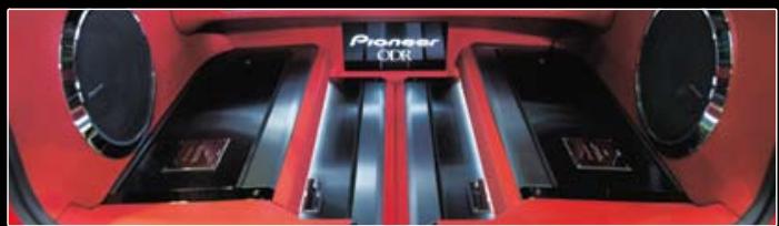 PIONEER TS-H467 - TEAM pioneer - 7