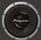 PIONEER TS-Q172C - TS-W258D2 - 1