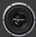 PIONEER TS-Q172C - TS-W308F - 1