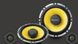 PIONEER TS-W308F - CUSTOM-FIT SERIES - 10