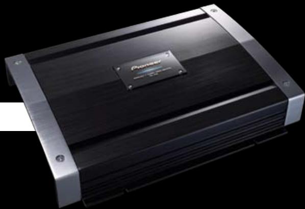 PIONEER TS-W308F - PRS-A900 - 1