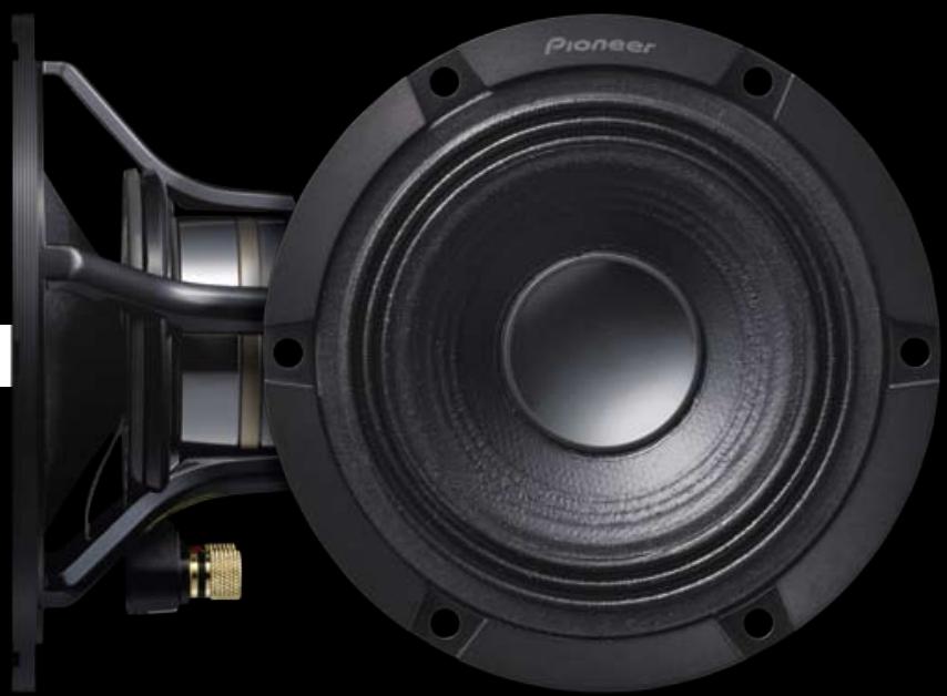 PIONEER TS-WX303 - TS-S01RSII - 2