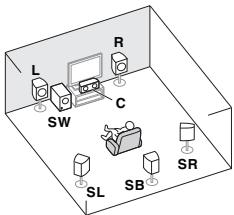PIONEER VSX-528-S - Determining the speakers' application - 2