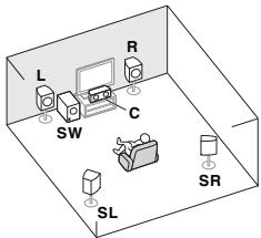 PIONEER VSX-528-S - Determining the speakers' application - 1