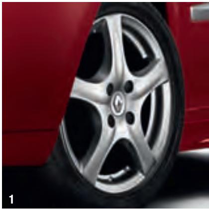 RENAULT CLIO GT - FOG LIGHT BEZELS - 1