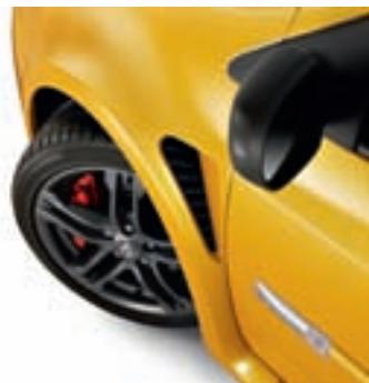RENAULT CLIO SPORT - SERIE Limitee CUP - 6