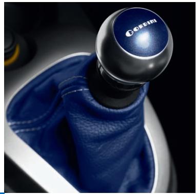 RENAULT TWINGO GORDINI R.S. - 5