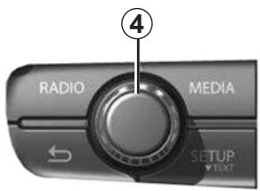 RENAULT R-PLUG RADIO+ - Mute - 1