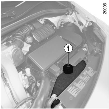 RENAULT CLIO 3 2012 - Engine oil grade - 6
