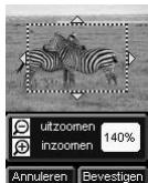 SAGEM PHOTO EASY 255 - EEN VERGROTING MAKEN (ZOOM) - 2
