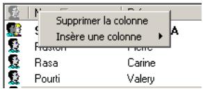 SAGEM OPEN LINE SERVER - Les menus déroulants - 2