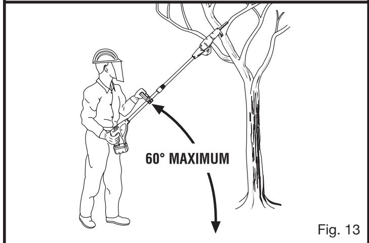 RYOBI P2500 - LIMBING AND PRUNING - 2