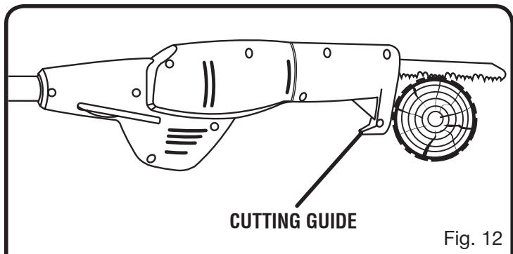 RYOBI P2500 - LIMBING AND PRUNING - 1