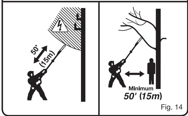 RYOBI P2500 - LIMBING AND PRUNING - 3