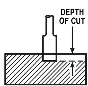 RYOBI R1801M - WARNING: - 1