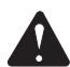 RYOBI RY30000 - BLADE THRUST - 1