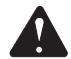 RYOBI RY30000 - WARNING: - 1