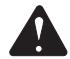 RYOBI RY30000 - WARNING: - 1