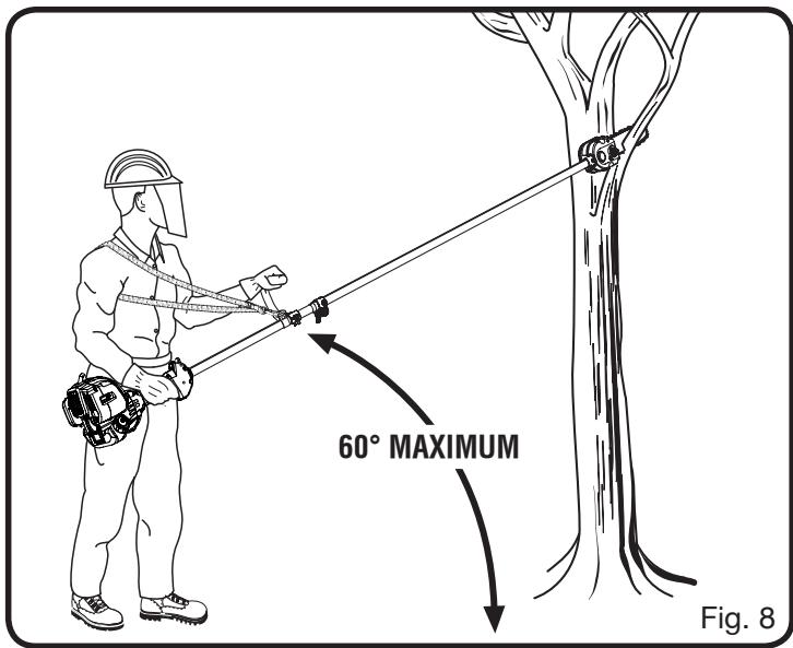 RYOBI RY52002 - LIMBING AND PRUNING - 1